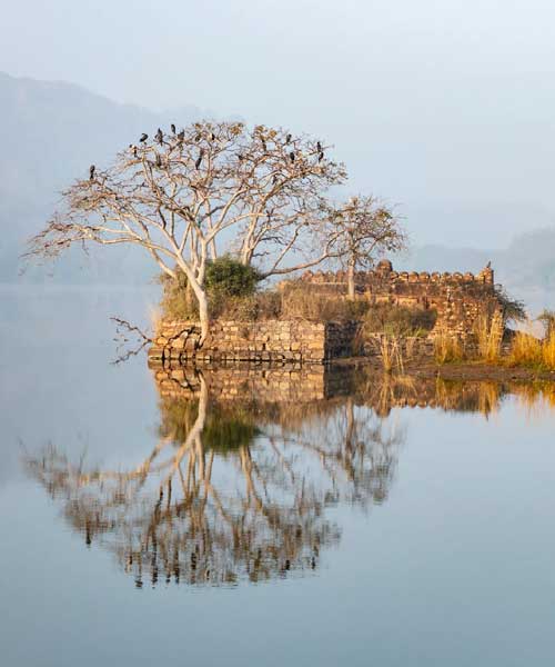 Ranthambore a Rent