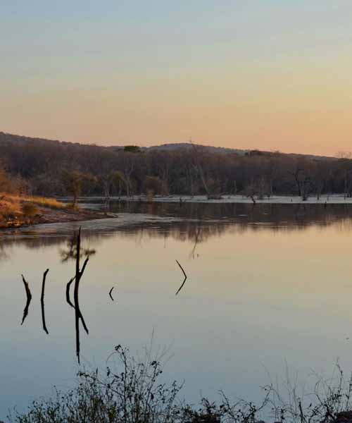 Ranthambore Surwal Lake